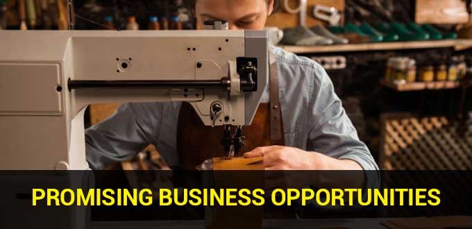 promising business opportunities image
