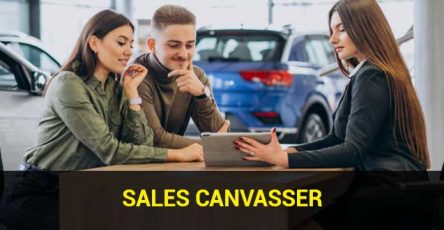 sales canvasser