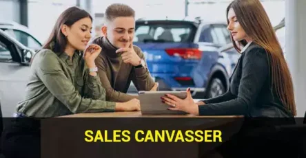 sales-canvasser