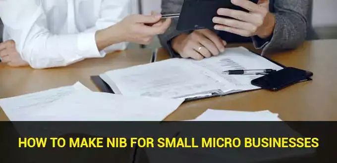 How-to-make-NIB-for-small-micro-businesses