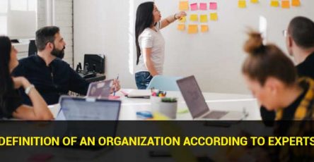 definition of an organization according to experts