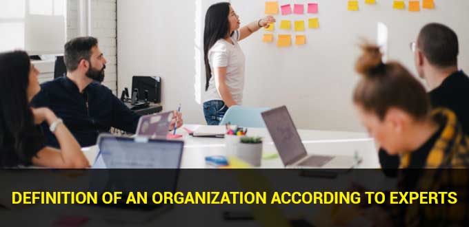 definition of an organization according to experts