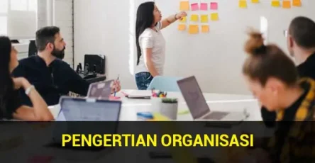 understanding-organization-according to-the-experts