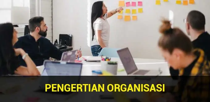 understanding-organization-according to-the-experts