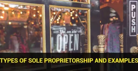 types-of-sole-proprietorship-and-examples