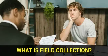 what-is-field-collection