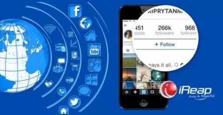 contoh bio instagram