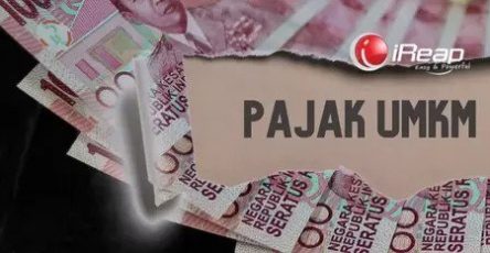 pajak umkm