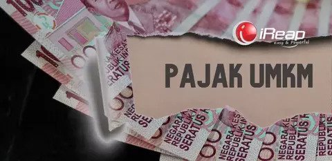 pajak umkm