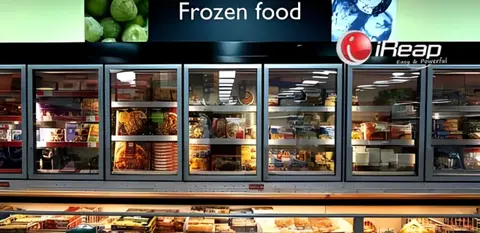 usaha frozen food
